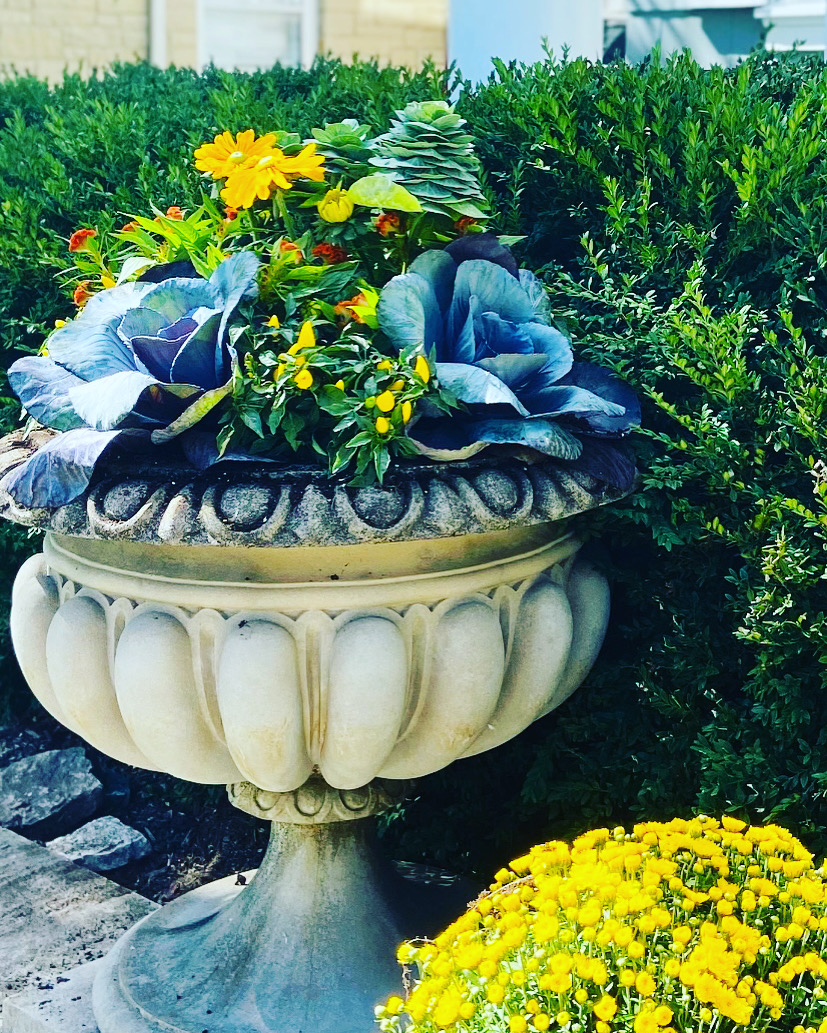 Fall seasonal container garden by Flower Fleurt