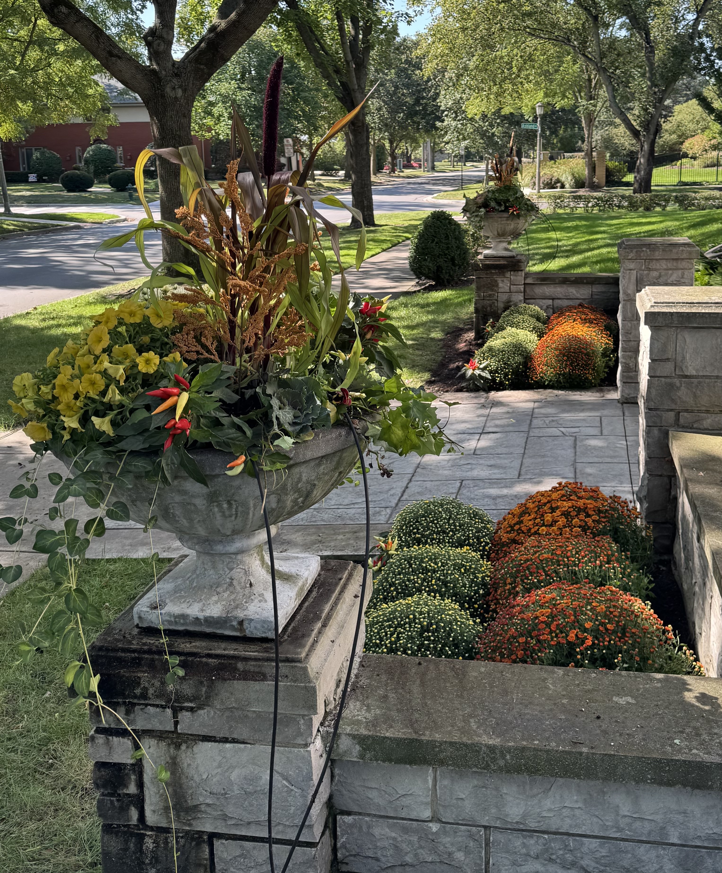 Fall floral display