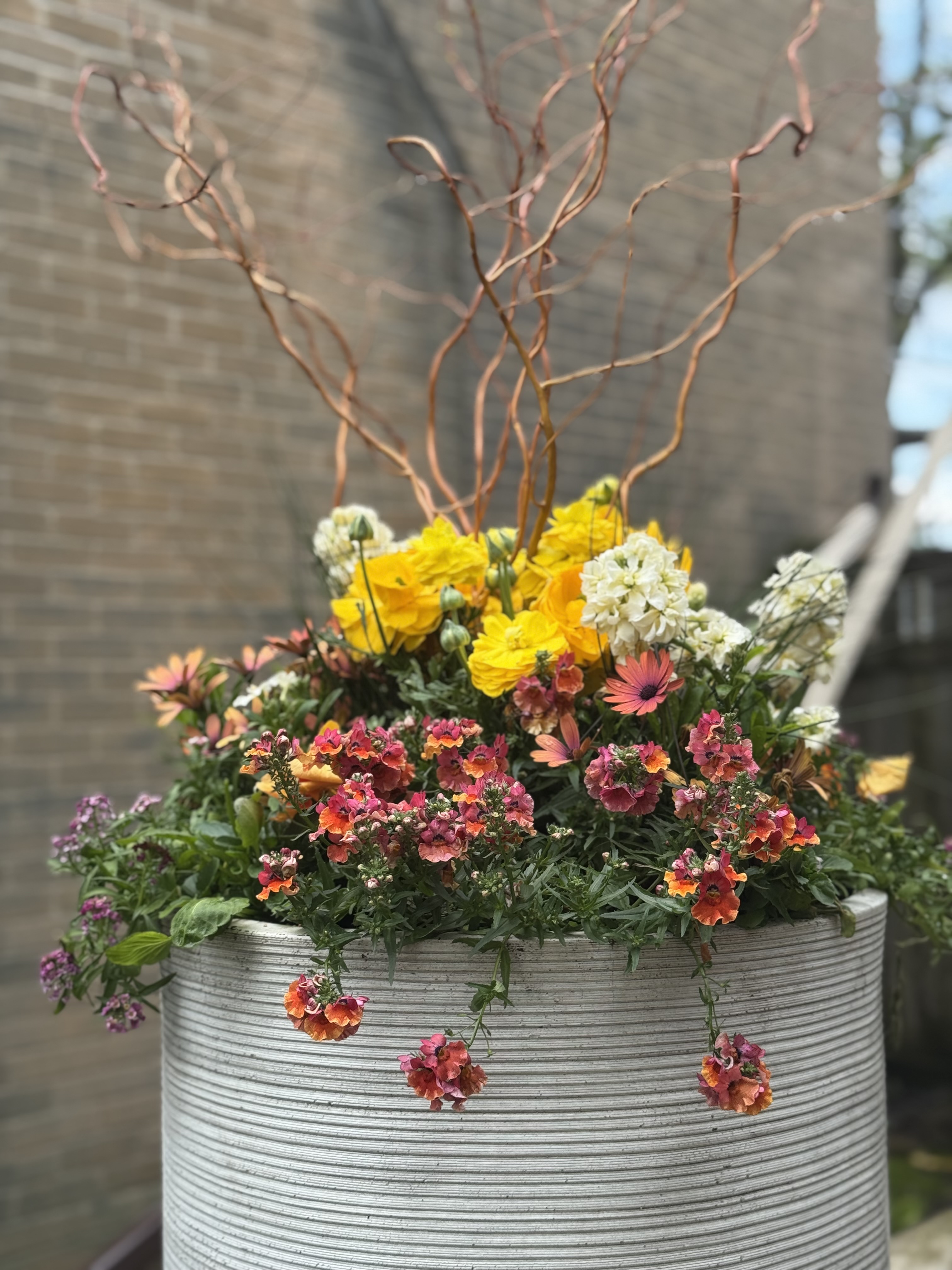 Spring porch planter with seasonal flowers