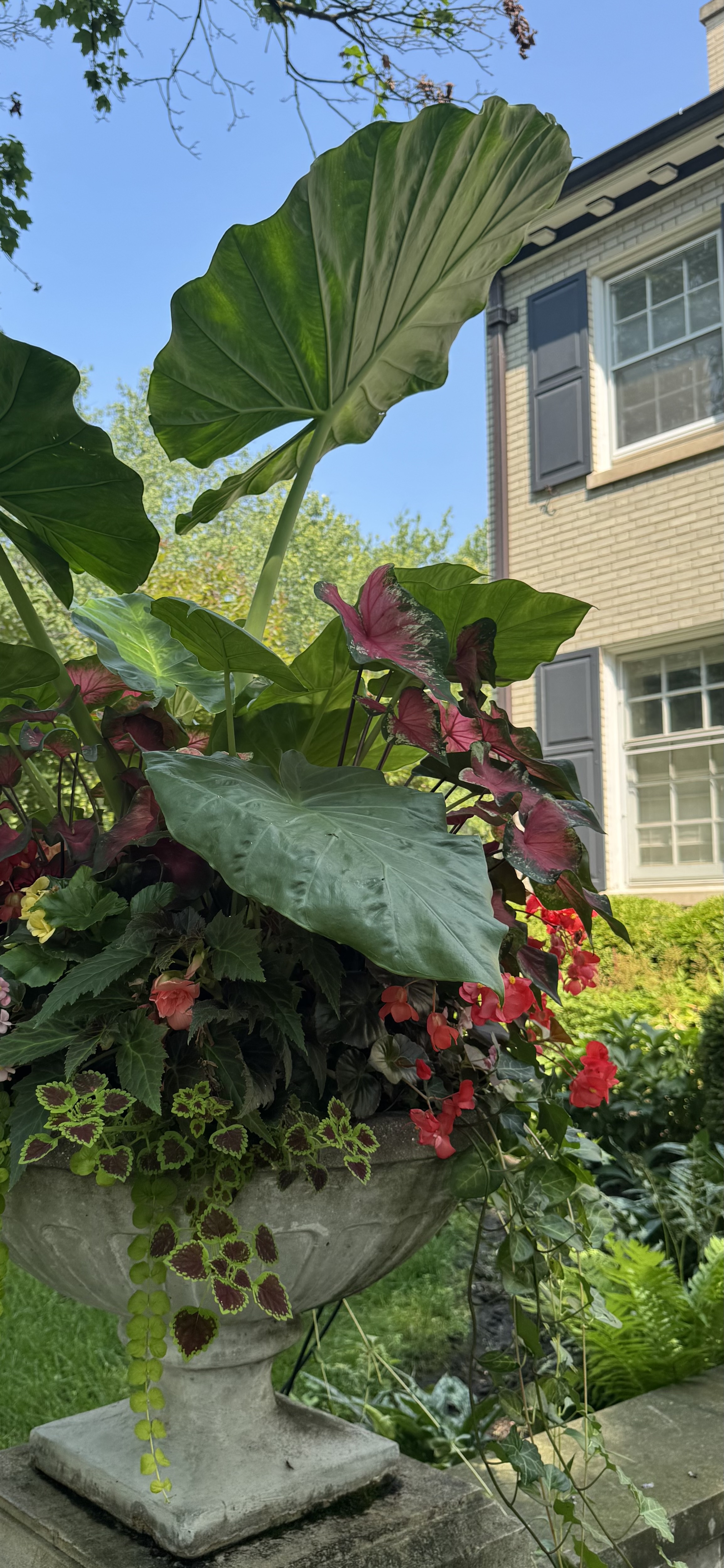 Summer floral display